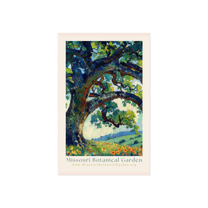 Fine Art Posters| Missouri Botanical Garden| 4 Sizes