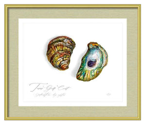 Texas Gulf Coast Oyster Shell - Art Print