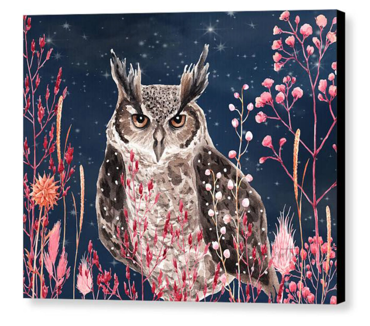 Night Owl - canvas print