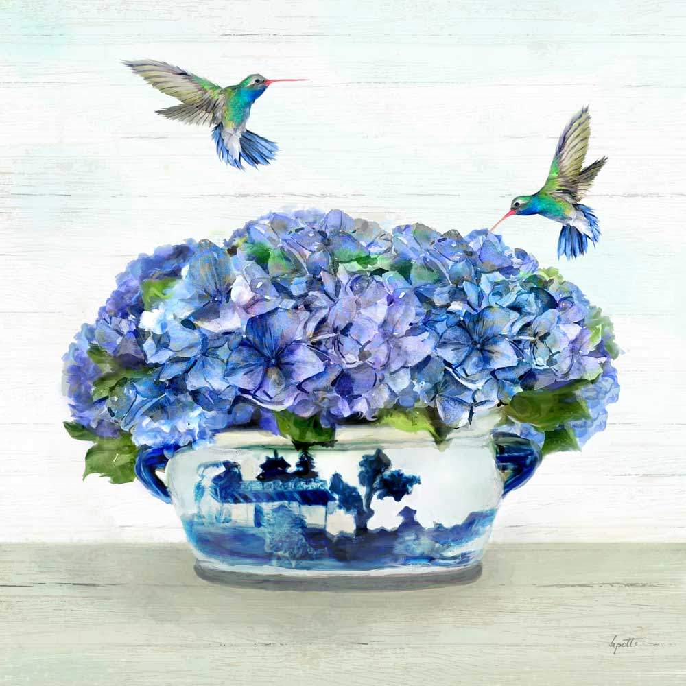 Hummingbirds in Hydrangea - 14 x 14 canvas print