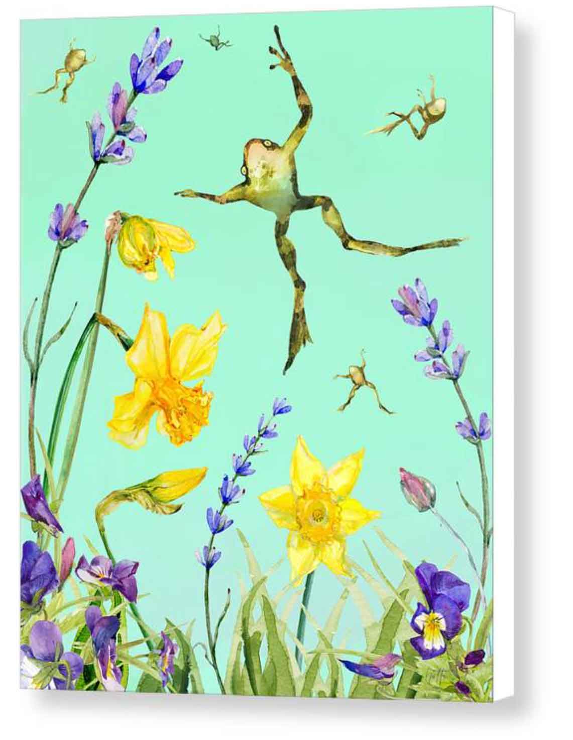 Leapfrogs in Daffodils - Canvas Print