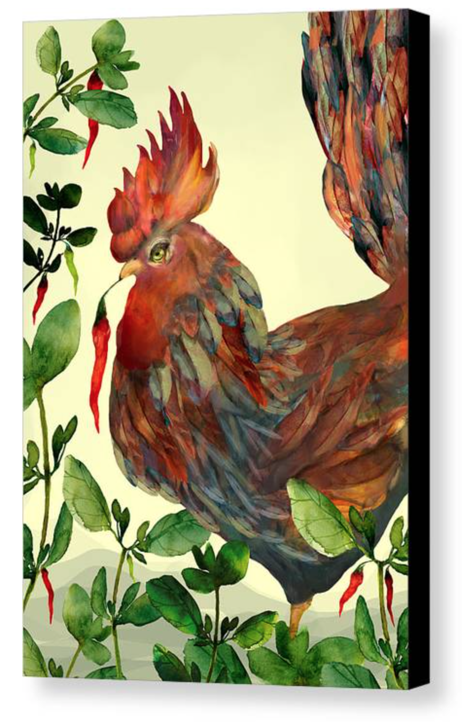 Mean Rooster - Canvas Print