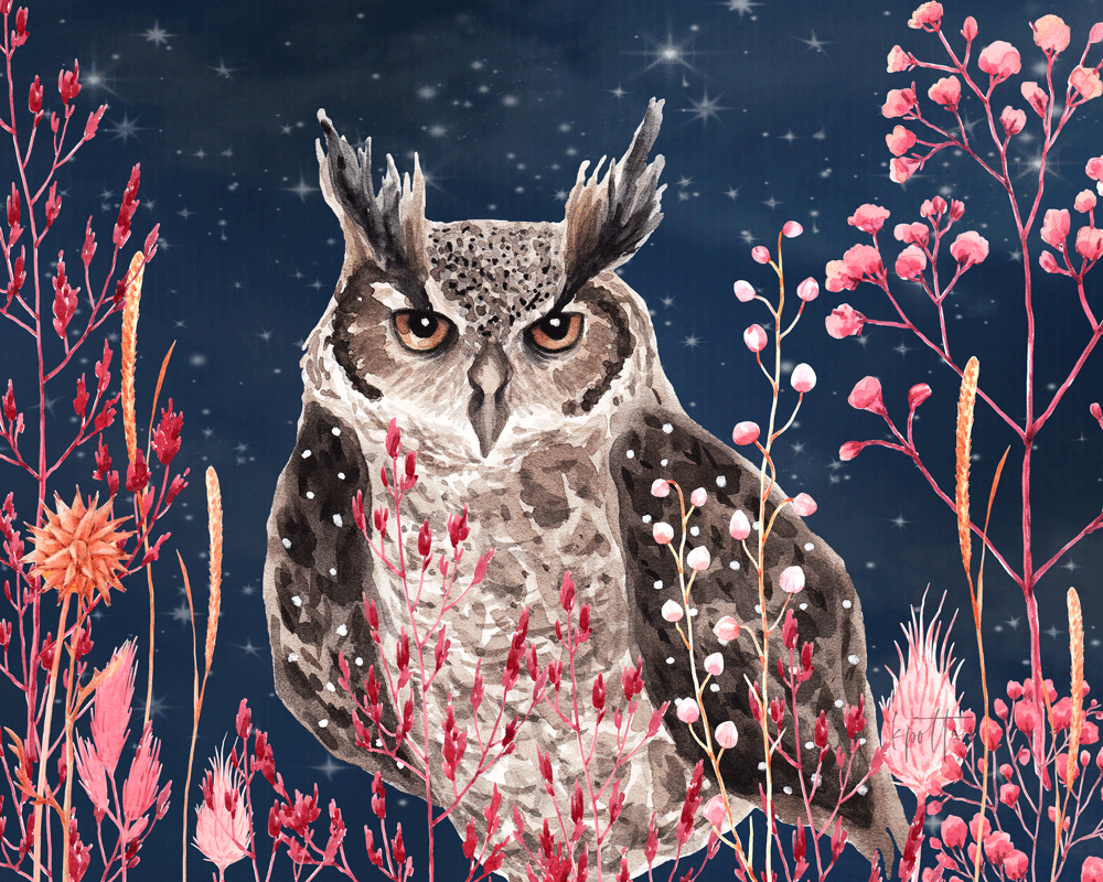 Night Owl - canvas print