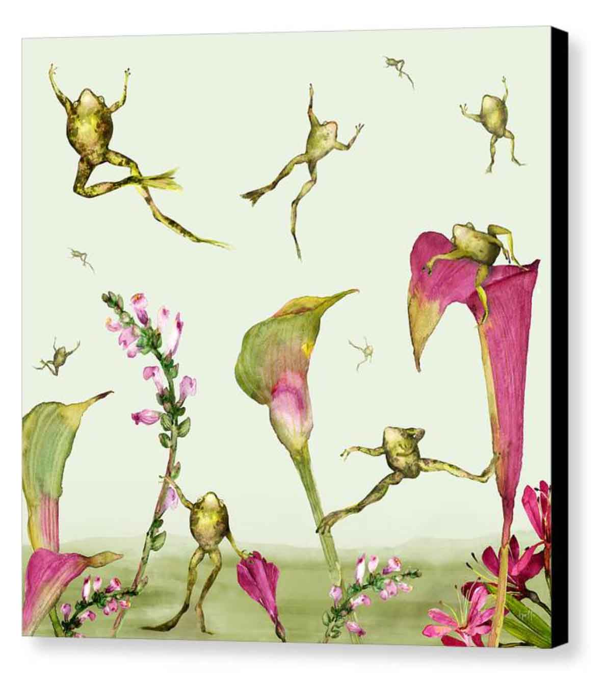 Leapfrogs in Calla Lilies - 14 x 14 Canvas Print