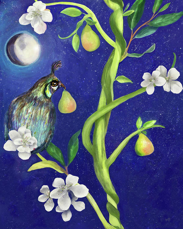 Partridge in a Pear Tree - Art Print