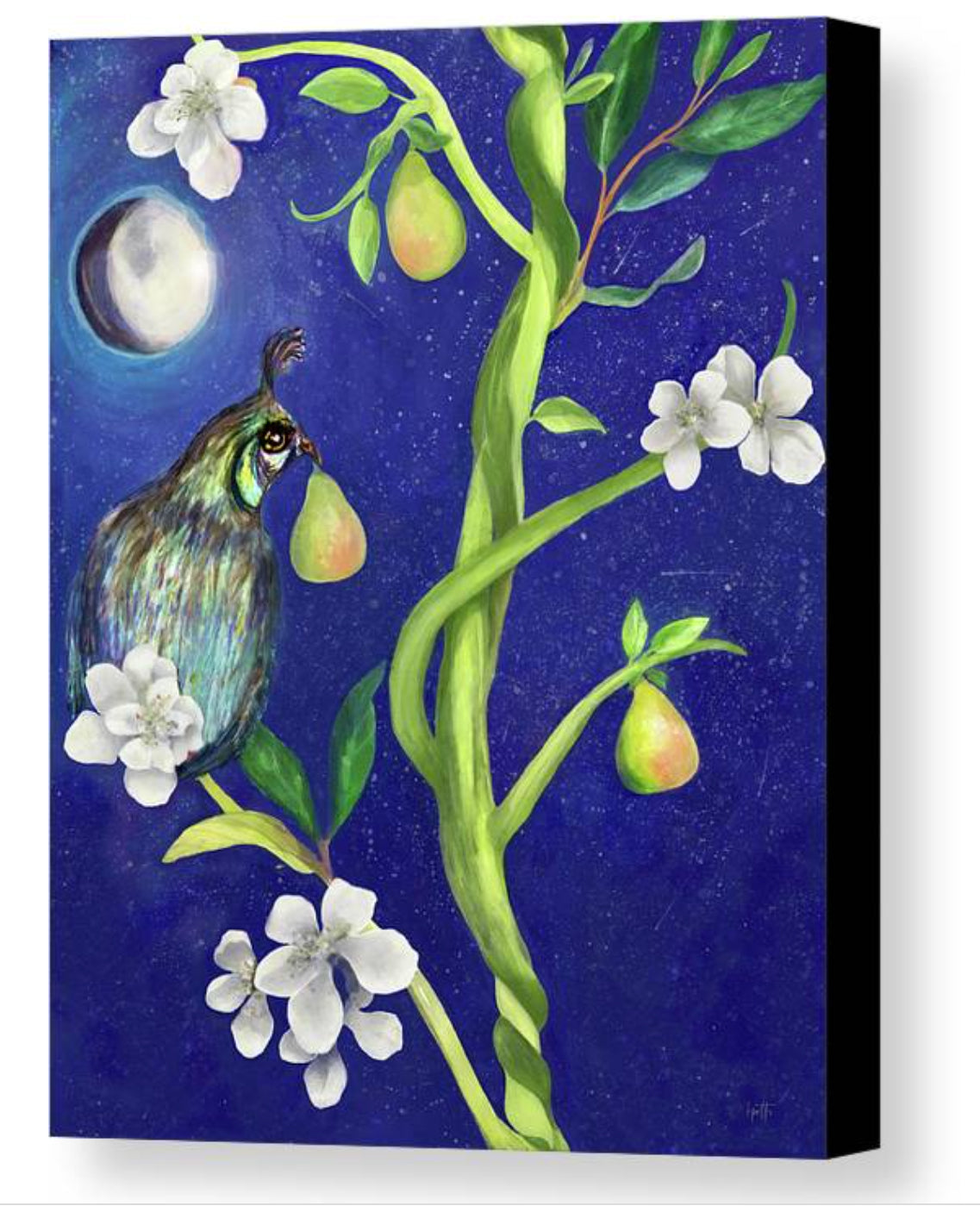 Partridge in a Pear Tree - canvas print